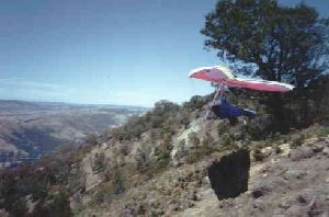 Site photo
